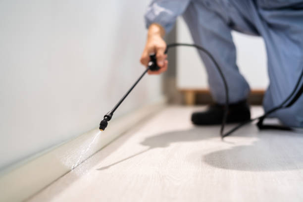 Licensed Pest Control service in Bristol, FL - Show Me Pest Control